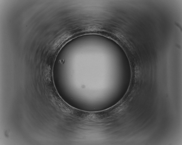 X0000103481265200809121642