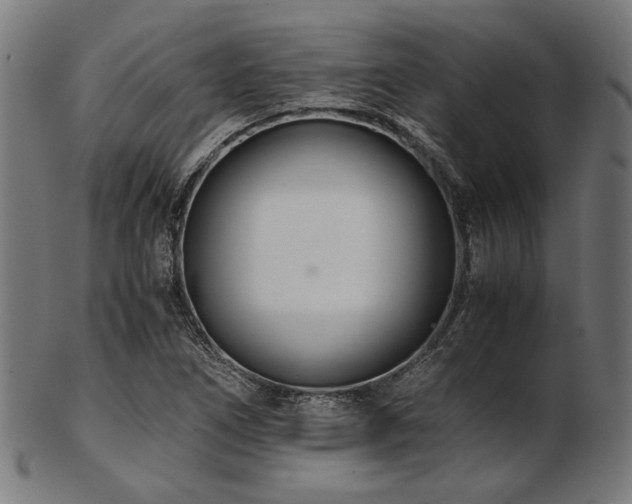 X0000103481266200809121642