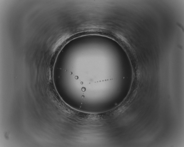 X0000103481267200809121642