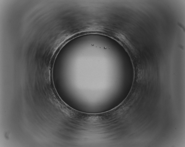 X0000103481268200809121642
