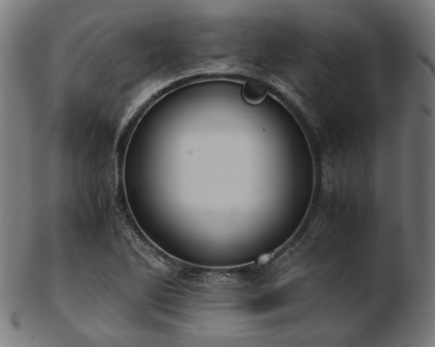 X0000103481270200809121642
