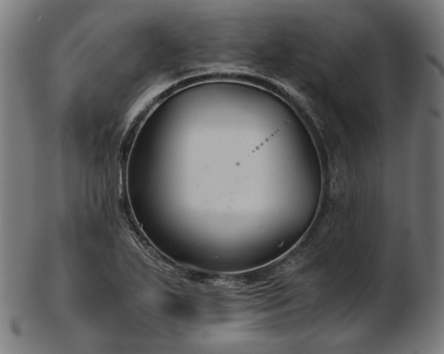 X0000103481271200809121642