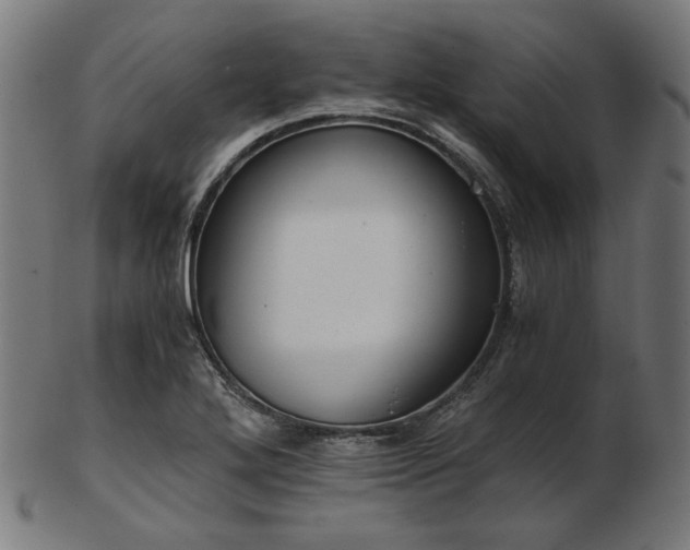 X0000103481272200809121642