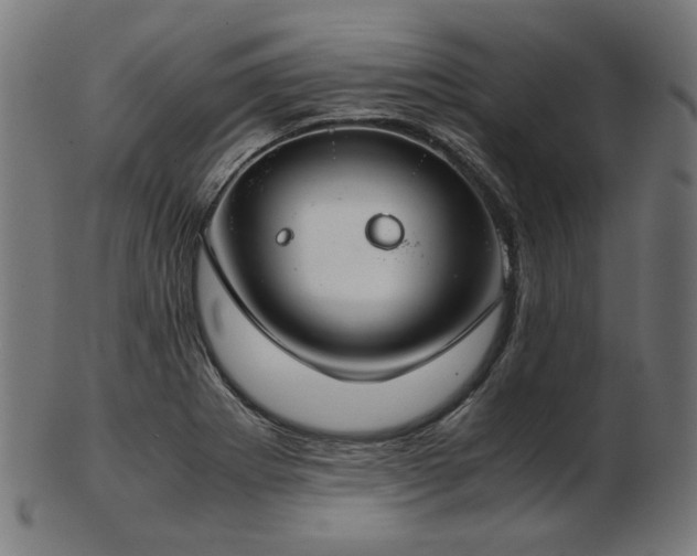 X0000103481273200809121642