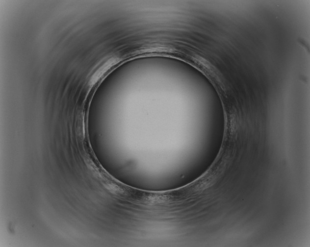 X0000103481274200809121642