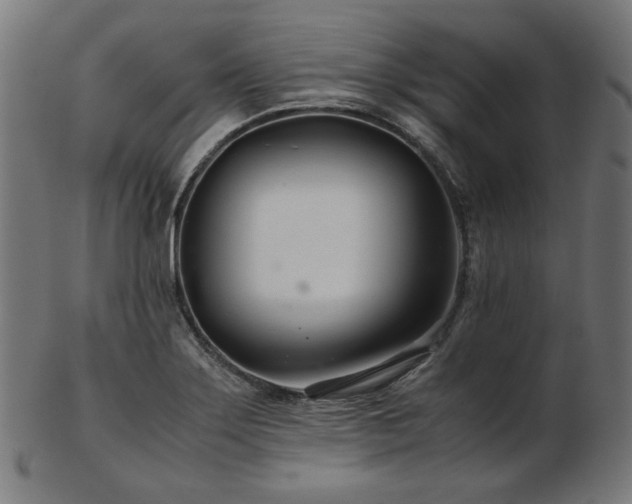 X0000103481275200809121642