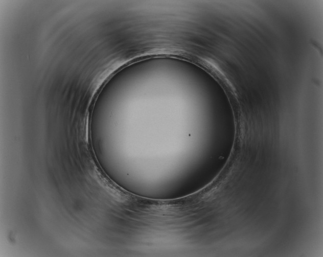 X0000103481276200809121642
