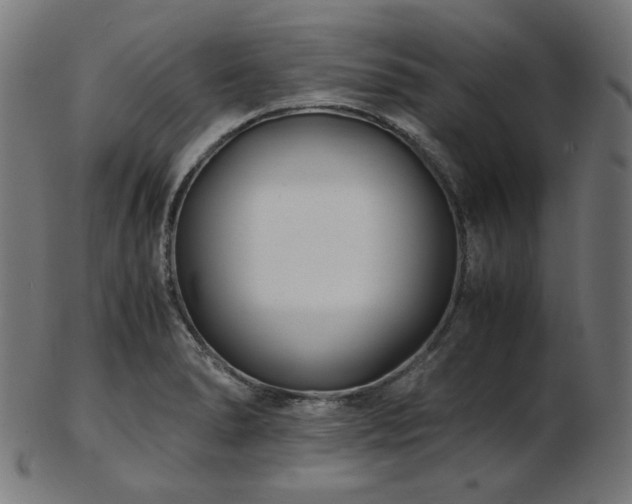 X0000103481278200809121642