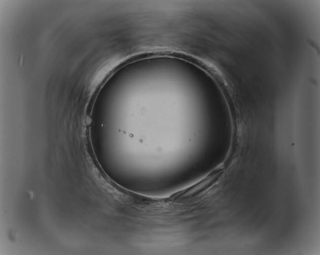 X0000103481279200809121642