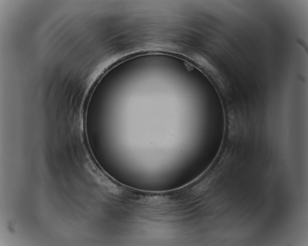 X0000103481280200809121642