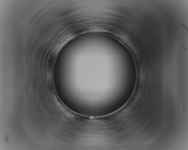 X0000103481281200809121642
