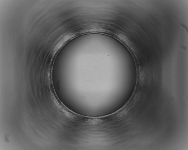 X0000103481282200809121642