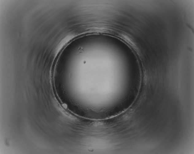 X0000103481283200809121642