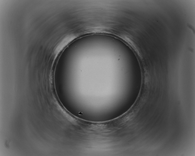 X0000103481285200809121642