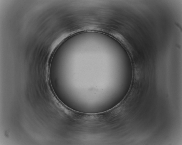 X0000103481286200809121641