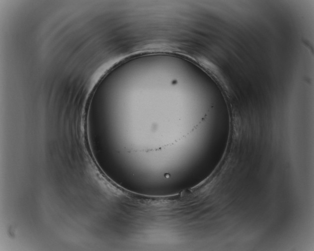 X0000103481288200809121641