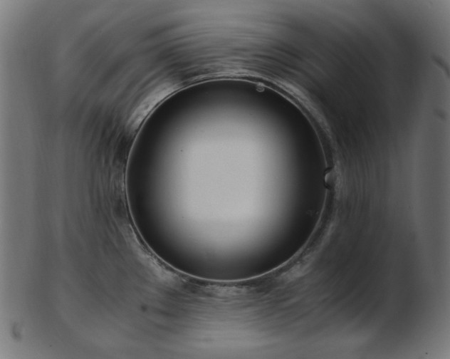 X0000103481289200809121641