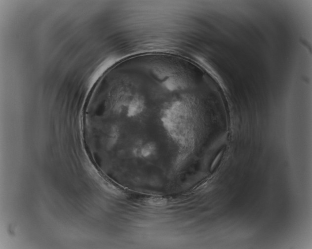 X0000103481291200809121641