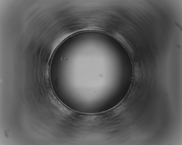 X0000103481292200809121641