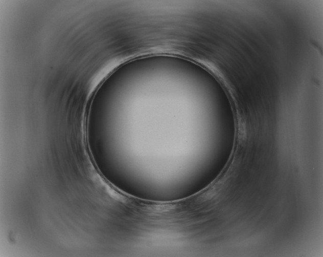 X0000103481294200809121641
