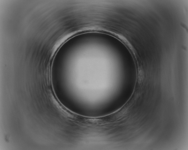 X0000103481295200809121641