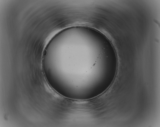 X0000103481296200809121641