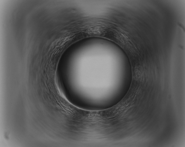 X0000103481297200809121641