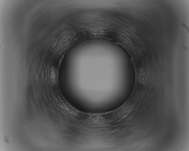 X0000103481298200809121641