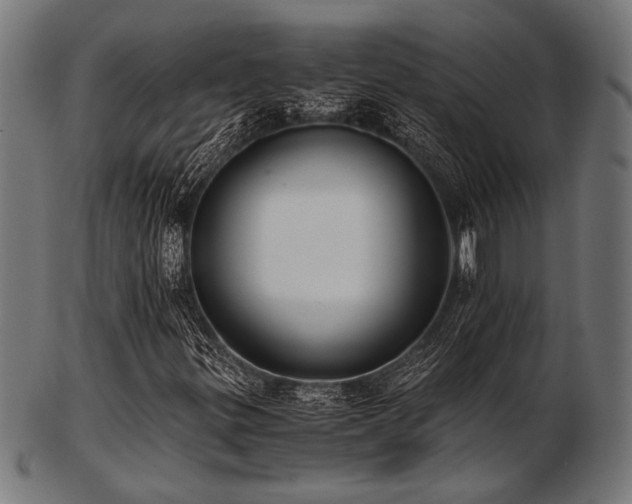 X0000103481299200809121641