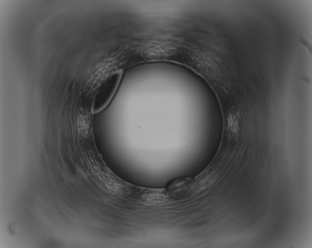 X0000103481300200809121641