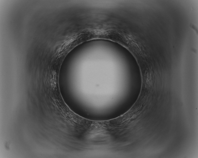 X0000103481301200809121641