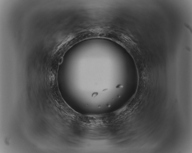 X0000103481302200809121641