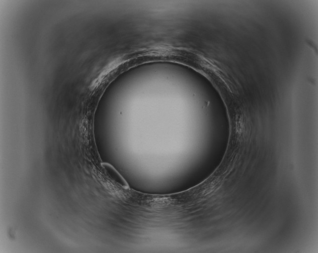 X0000103481304200809121641