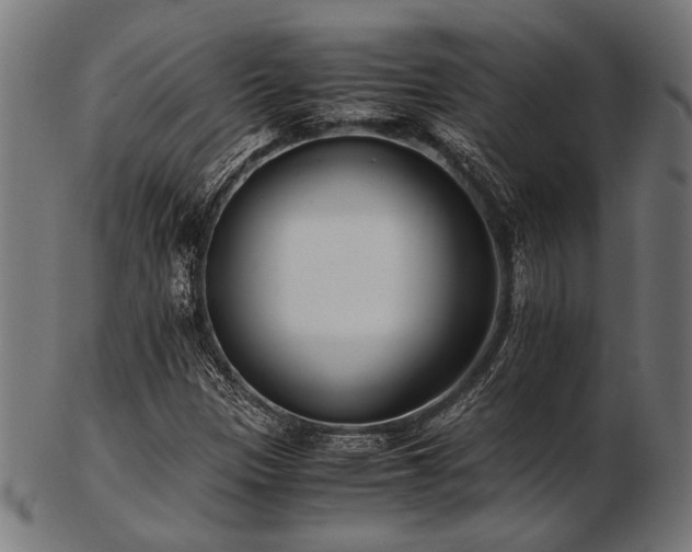 X0000103481305200809121641