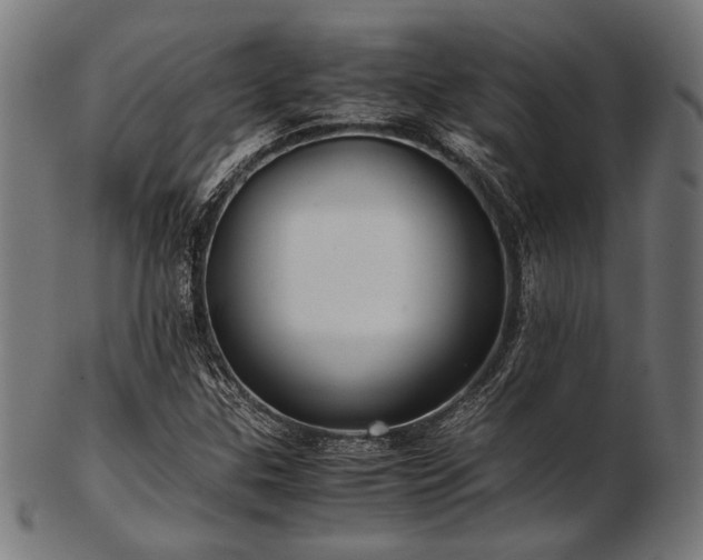 X0000103481307200809121641