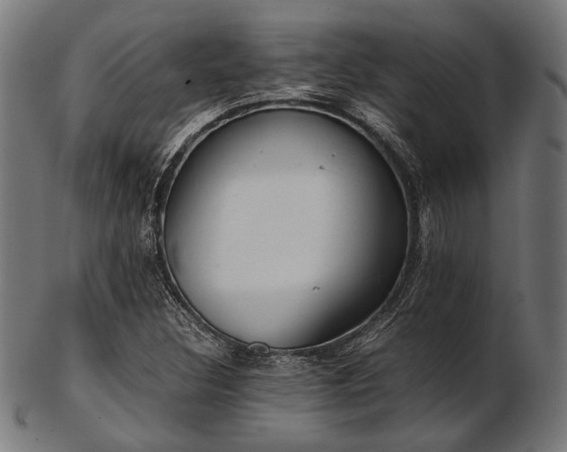 X0000103481308200809121641