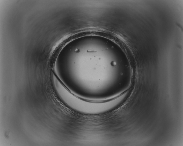 X0000103481310200809121641