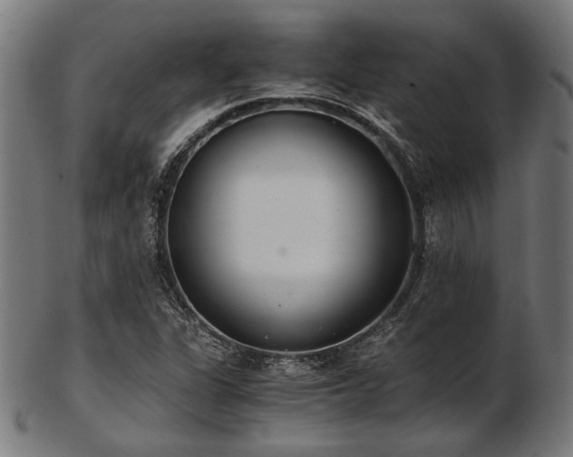 X0000103481311200809121641