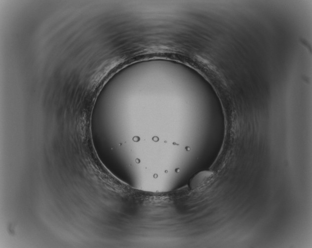 X0000103481313200809121641