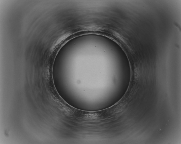X0000103481315200809121641