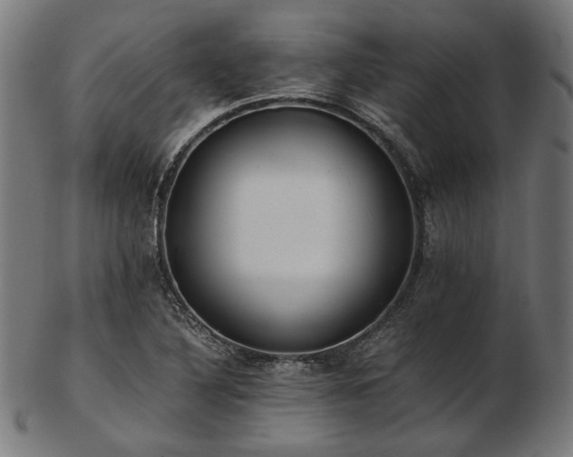 X0000103481316200809121641