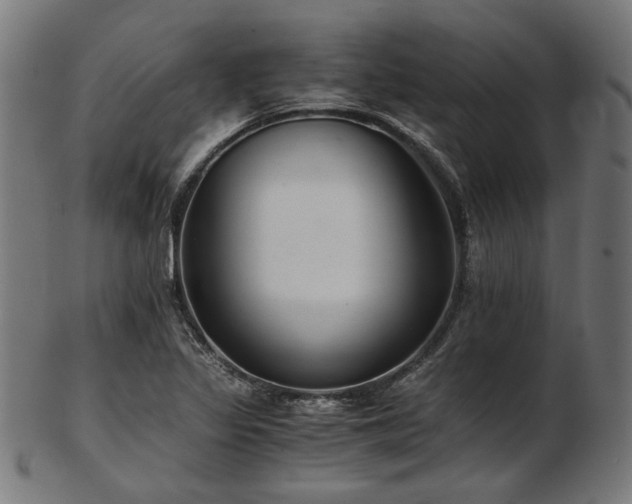 X0000103481317200809121641