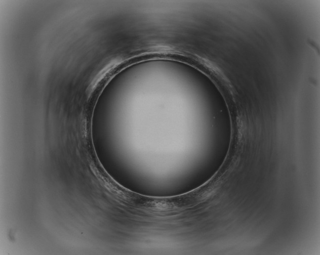 X0000103481318200809121641