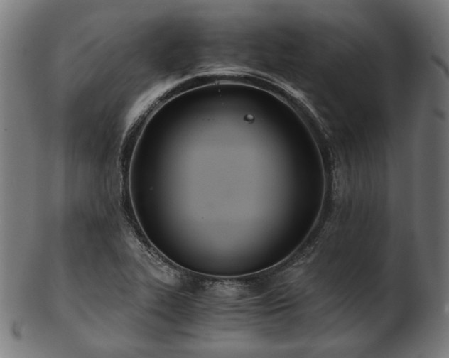 X0000103481319200809121641