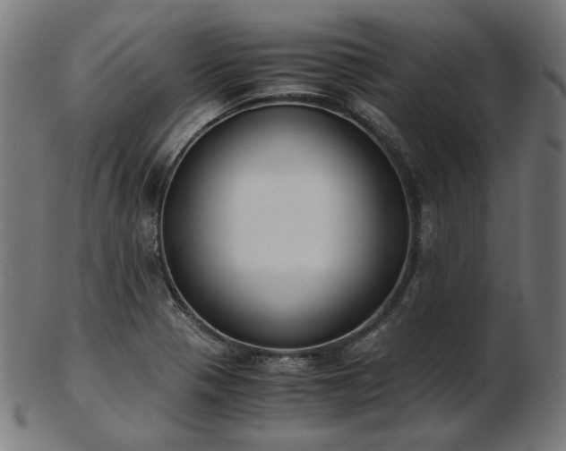 X0000103481321200809121641