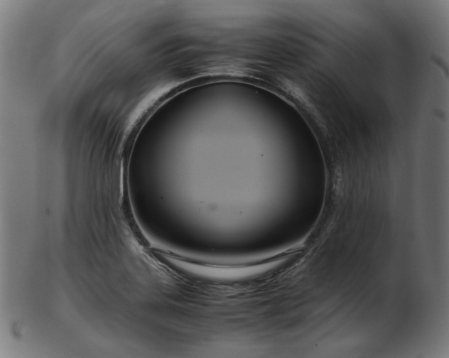 X0000103481323200809121641