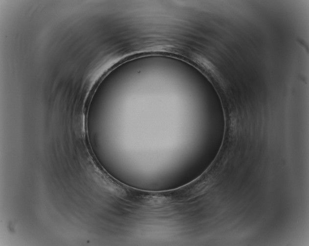 X0000103481324200809121641