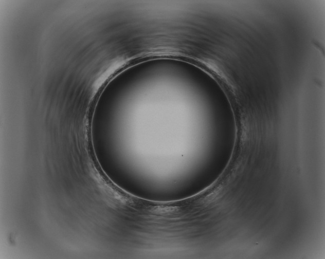 X0000103481325200809121641