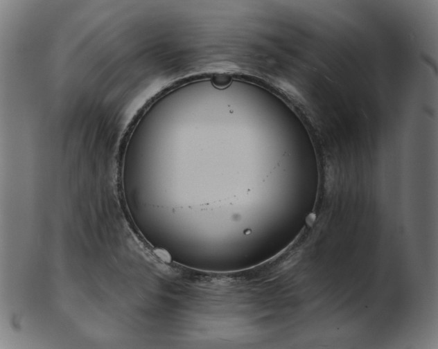 X0000103481326200809121641