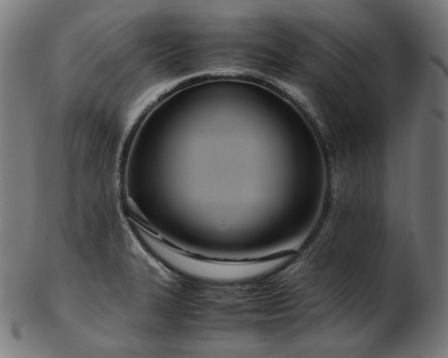 X0000103481327200809121641